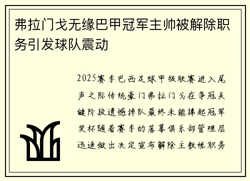 弗拉门戈无缘巴甲冠军主帅被解除职务引发球队震动